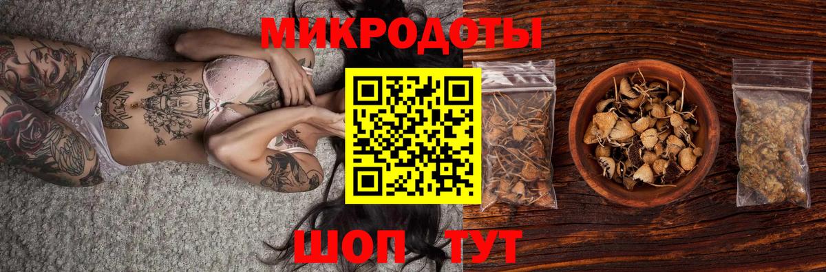 Псилоцибиновые грибы Cubensis Жигулёвск